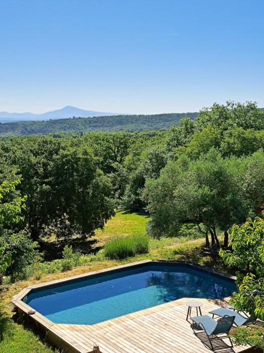 Le Chant des Tongs - La Canopée