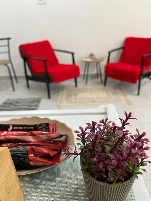 Apartman Bistrička