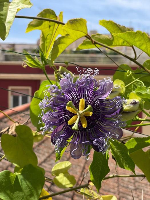 Freedom House - Loft in pieno centro