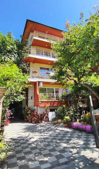 Violeta 7 Guest House