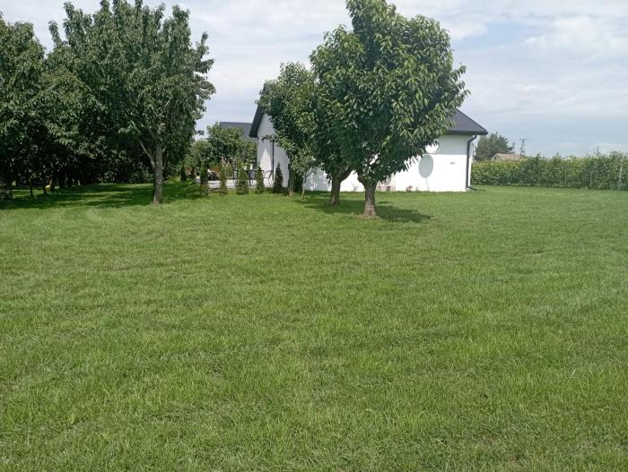 Domki w Winnicy - Świętokrzyska Winnica Knapów