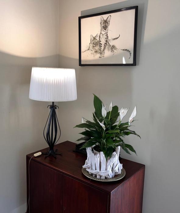 Panache Wildlife Cottage-Self Catering