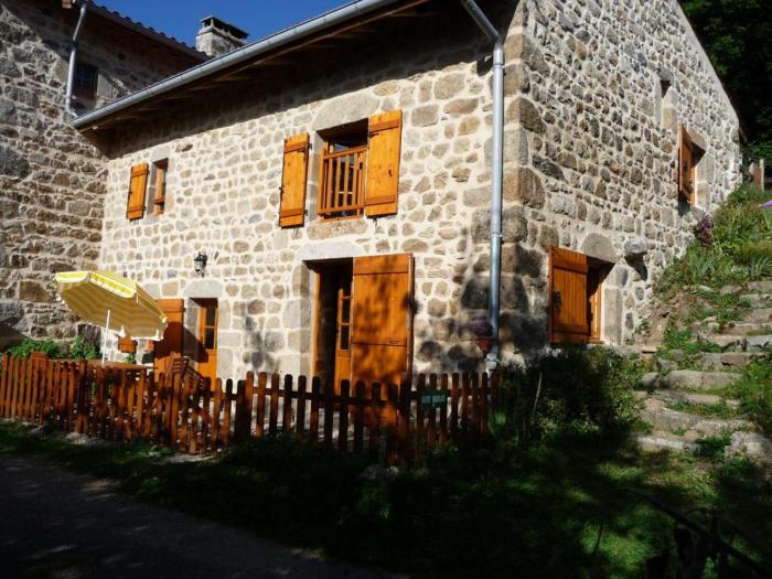 Demeure Forézienne 19e s., Jardin & Animaux admis - FR-1-496-205