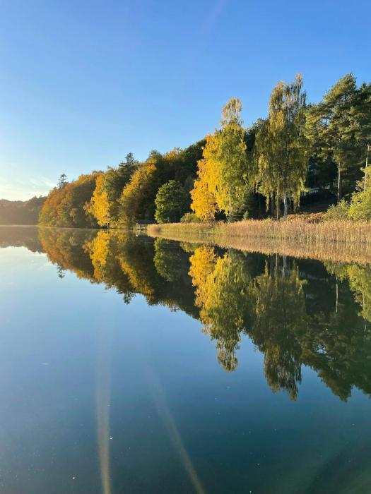 Wooden House With Nature Views Near Silkeborg