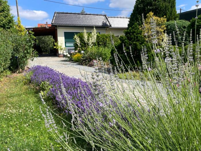 Ferienhaus Amare mit Fasssauna, eigener Terrasse & Kamin