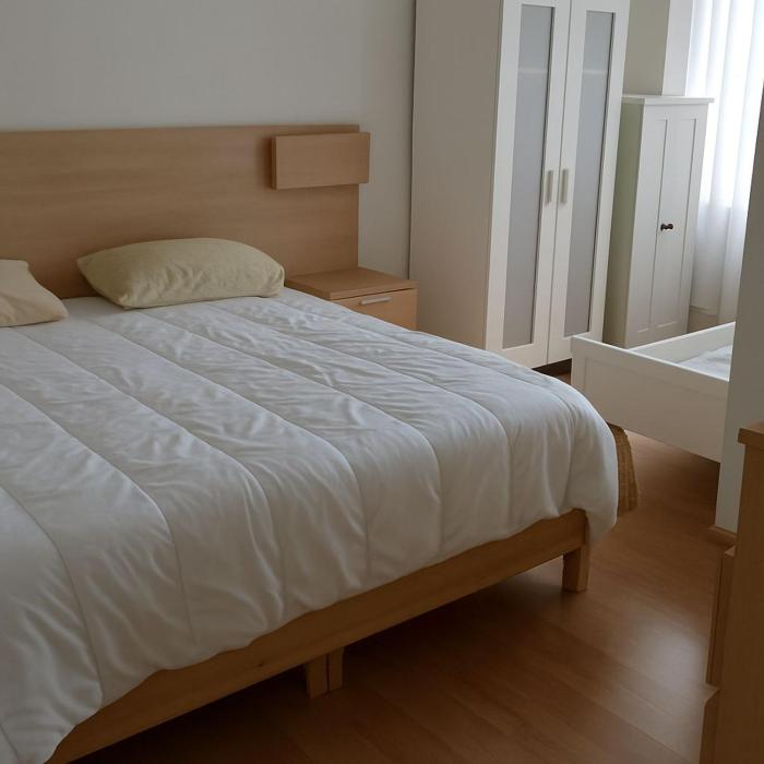 Belgielei business apartment