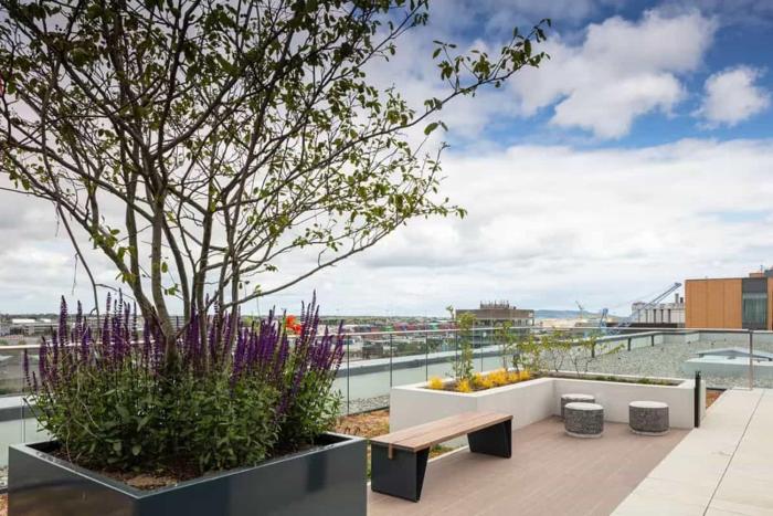 Student Only Classic Ensuite Point Campus Dublin