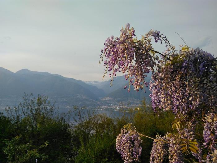 Sun, fun & relaxation, the Ticino for you!