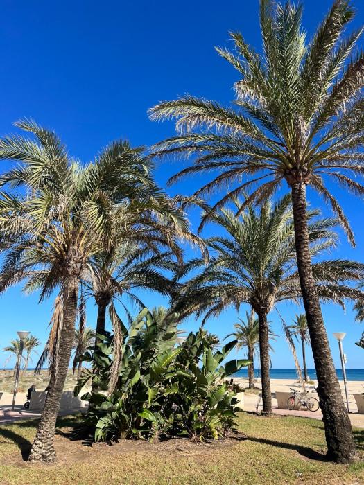 Apartamento Monika Playa y Grau