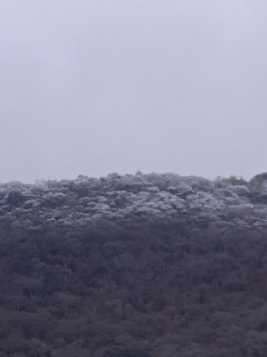 dpto en pleno tres cerritos salta muy cerca de la virgen del cerro