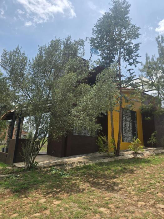 Cabaña Eucalipto 32