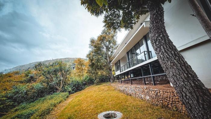 Tomorrowland Farms and Suites