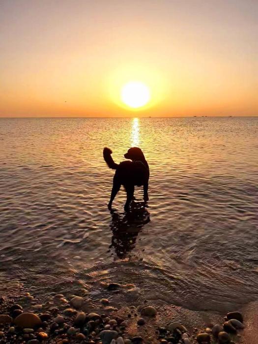 CasaVacanze Nichi vista mare