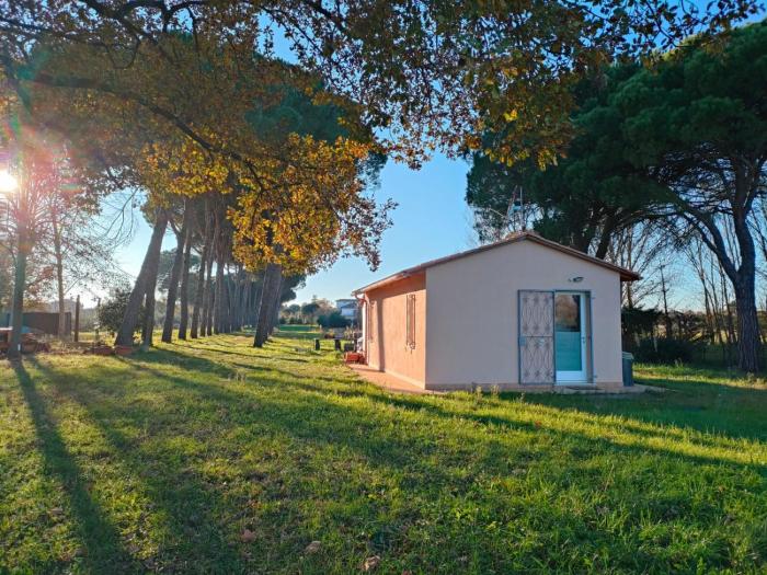 Orizzonte - Castiglione del Lago