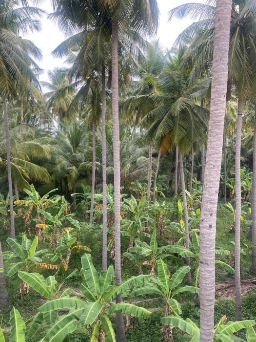 Meenakshi Amman Home stay