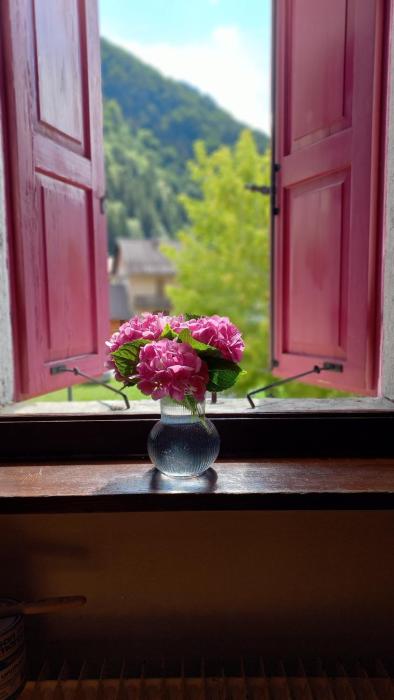 Appartamento il Riccio