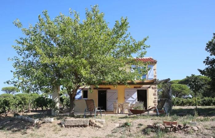Maison charmante près des vignes - 80 m²