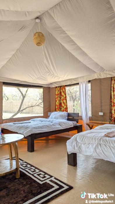 Double G safaris and Camp Mikumi