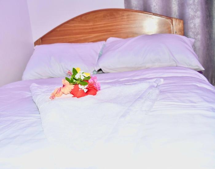 Michamvi Holiday Homes