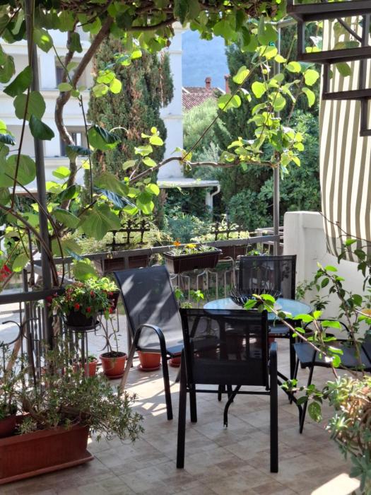 Kiwi Apartments Budva