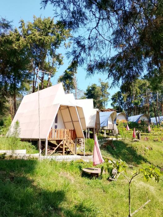 Dieng glamping syariah