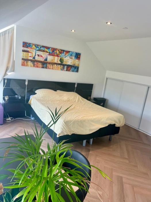 Ruime slaap kamer met werkplek en privé badkamer bij Jacqueline