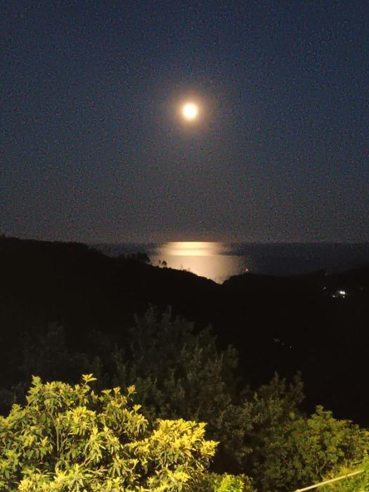 TraMonti e Mare, vista mare giardino, la casa che in ogni stagione si trasforma!