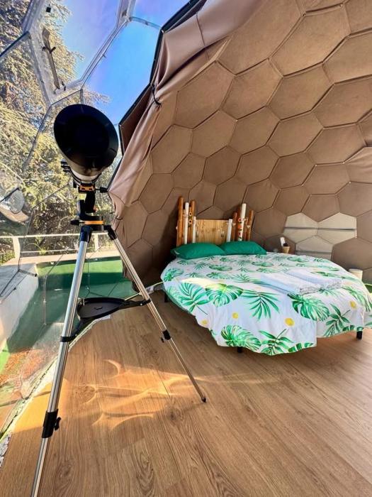 Bubble World Wild Love