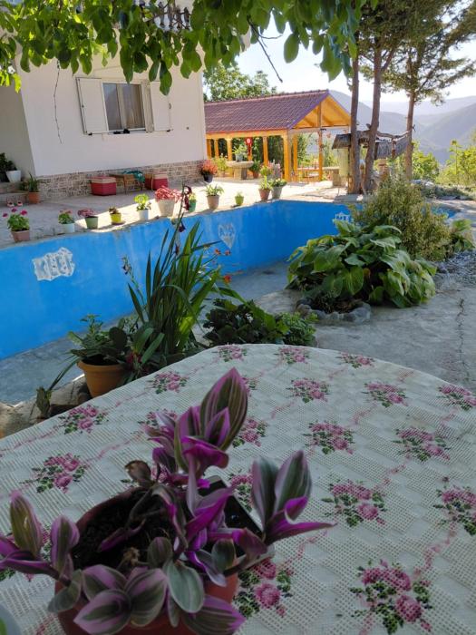 Konaku Zenelaj Selcke e Madhe Memaliaj