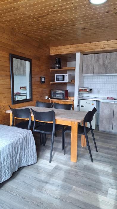 Cómodo depto las leñas