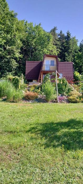 Szumią Dęby - Marcyporęba