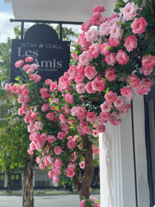 Les Amis Phu Quoc at Grand World - whole house 18pax