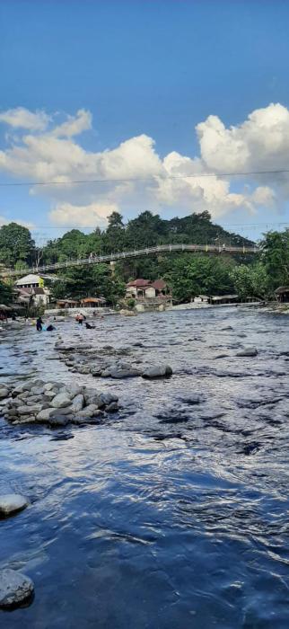 Dendi guest house & orang utan explore