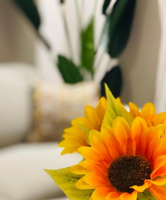 La Bella Modena Giardini Appartamenti