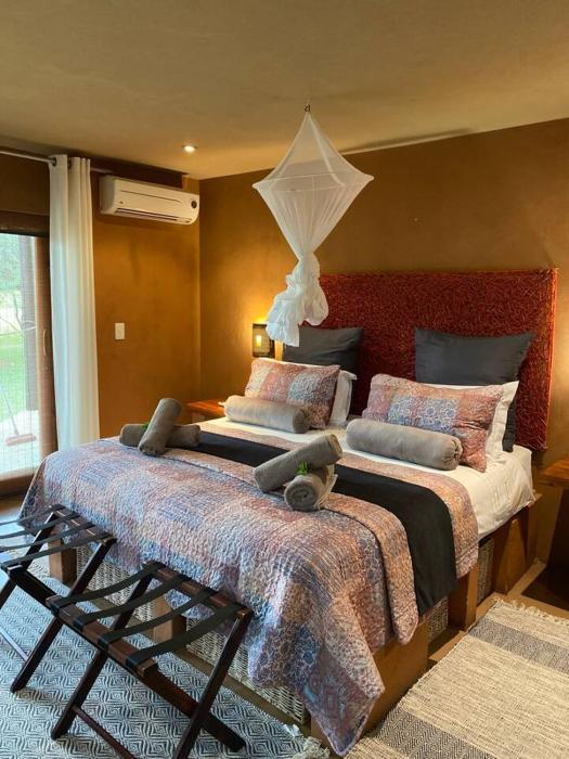 Zebula - African Dream A - Pax 8