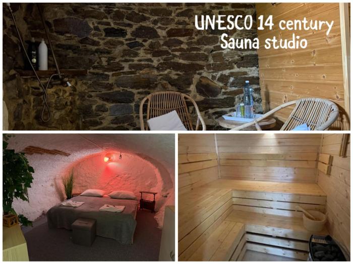 Sauna apartment UNESCO 14 century