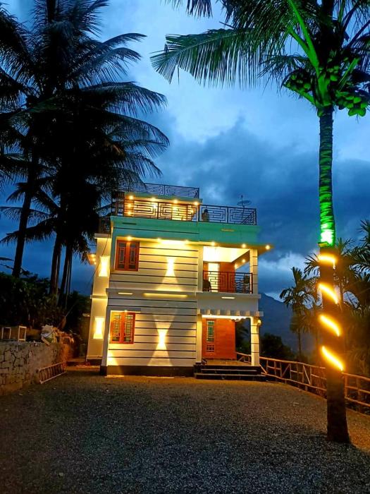 Palm view 2