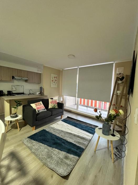 Departamento Villarrica Vista Volcán