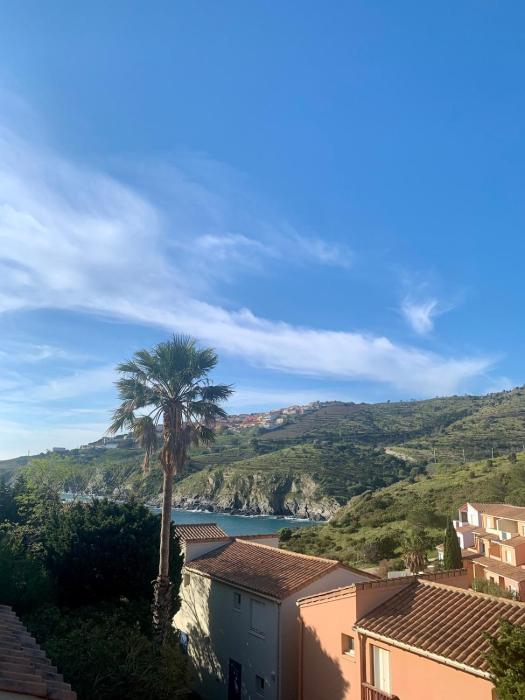 Appartement vue mer 2-4 P