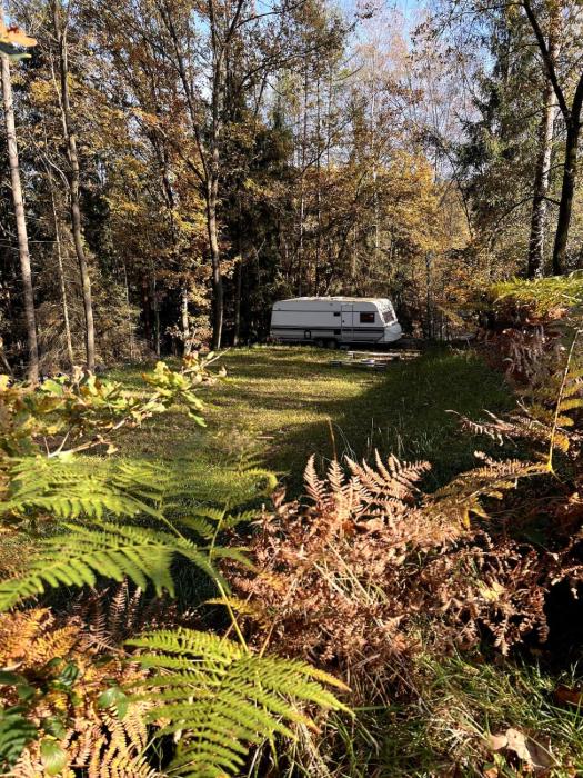 Ubytování v divočině