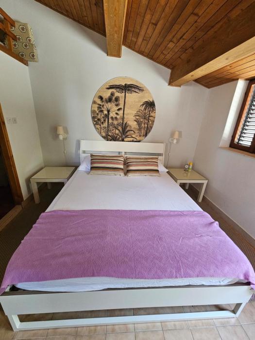 Studio among pines and beach