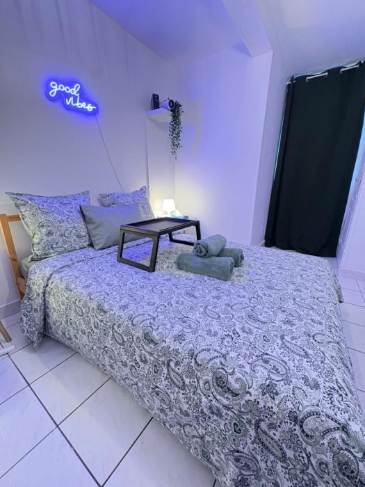 F3 confortable à 2 min du métro et ambiance cinéma