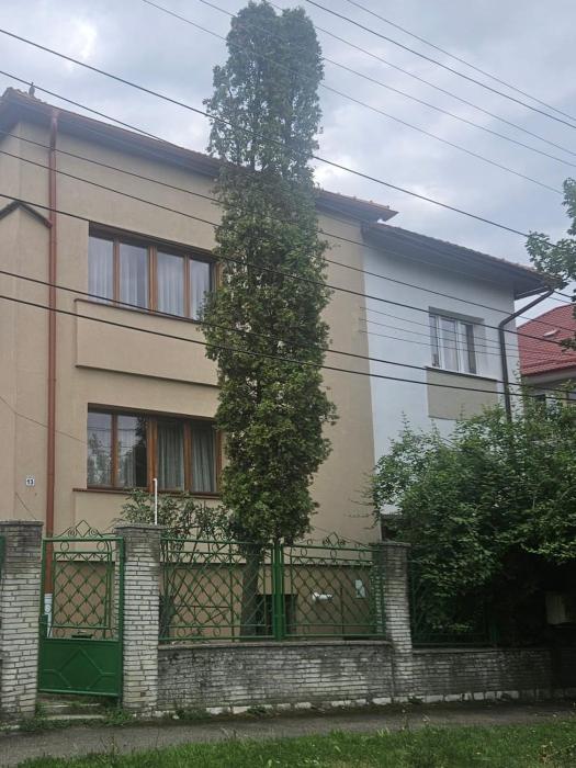 Grande Villa Andrei Muresanu