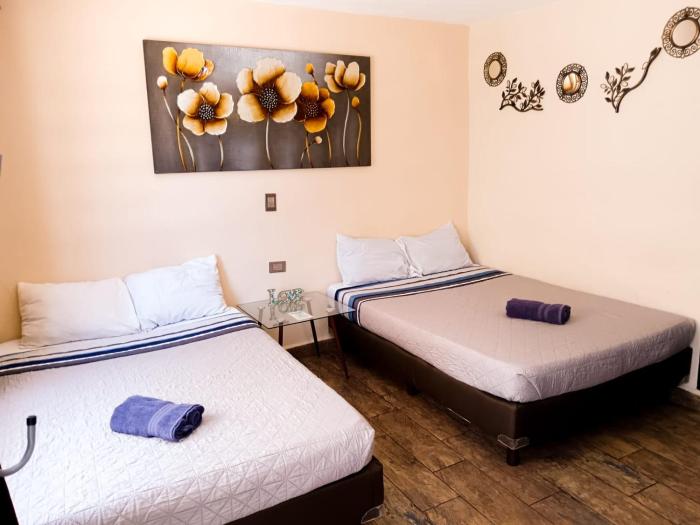 Cómoda y acogedora suite, Paseo Durango