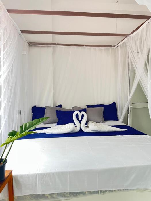 Monstera Haven Hiriketiya