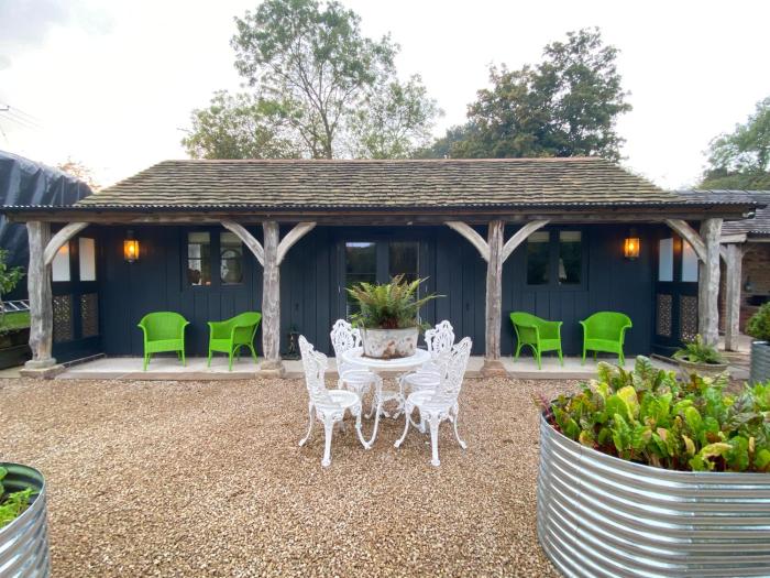 STARGAZER adult only