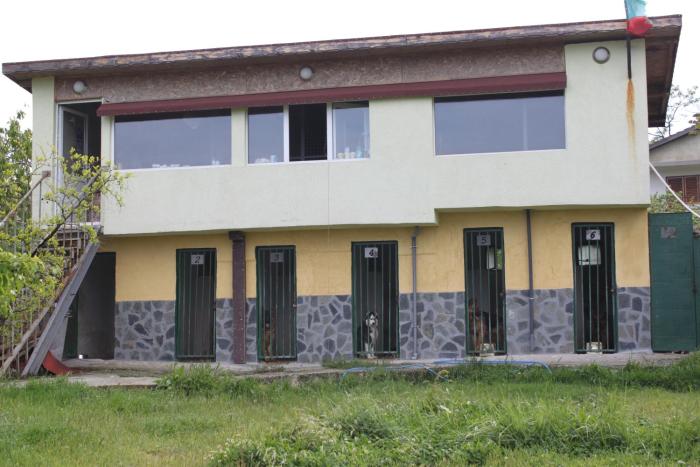 ХОТЕЛ за кучета Киноложки център СТИФ