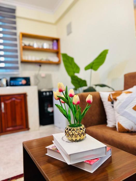 Snow View Kijenge Apartments