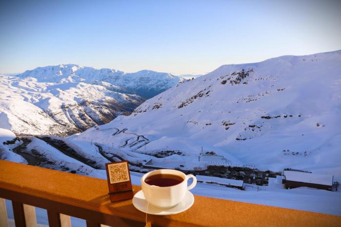 HOM I Valle Nevado SKI IN y OUT FrenteALaCordillera