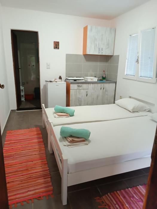 M6 olive tree studio